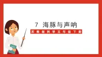 小学科学苏教版 (2017)五年级下册海豚与声呐完美版课件ppt