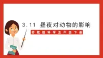 小学科学苏教版 (2017)五年级下册11 昼夜对动物的影响完整版ppt课件