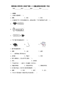 小学教科版 (2017)2.通过感官来发现同步测试题