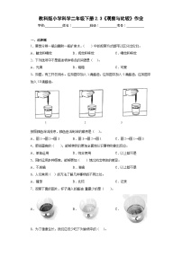 小学教科版 (2017)3.观察与比较同步训练题