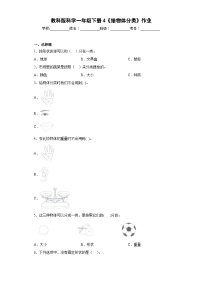 小学科学4.给物体分类练习题