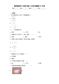 科学一年级下册6.它们去哪里了同步达标检测题