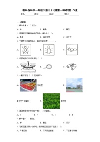 小学科学教科版 (2017)一年级下册3.观察一种动物课后作业题