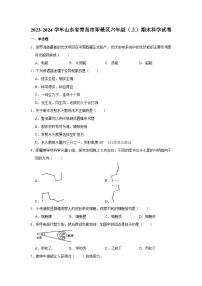 山东省青岛市即墨区2023-2024学年六年级上学期期末科学试卷