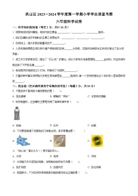 2023-2024学年湖北省武汉市洪山区教科版六年级上册期末考试科学试卷（原卷+解析）