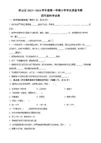 2023-2024学年湖北省武汉市洪山区教科版四年级上册期末考试科学试卷（原卷+解析）