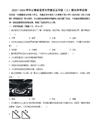 2023-2024学年云南省昆明市官渡区教科版五年级上册期末考试科学试卷（原卷+解析）