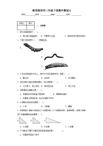 2023-2024教科版科学三年级下册期中测试B