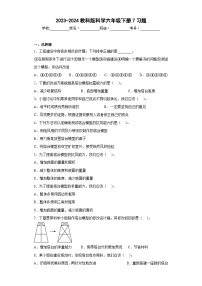 小学科学教科版 (2017)六年级下册7.评估改进塔台模型习题