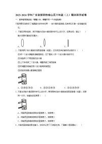 广东省深圳市南山区2023-2024学年六年级上学期期末科学试卷