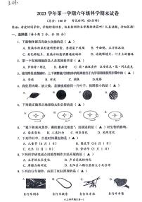 207，浙江省台州市玉环市2023-2024学年六年级上学期期末科学试卷