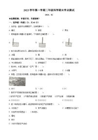 2023-2024学年浙江省金华市兰溪市振兴小学教科版三年级上册期末考试科学试卷（原卷+解析）