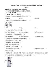 2023-2024学年浙江省温州市鹿城区教科版四年级上册期末考试科学试卷（原卷+解析）