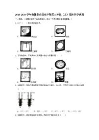 安徽省合肥市庐阳区2023-2024学年三年级上学期期末科学试题