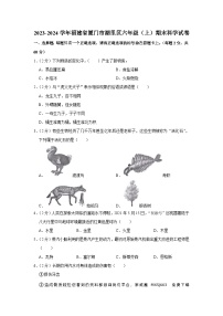 88，福建省厦门市湖里区2023-2024学年六年级上学期期末科学试卷