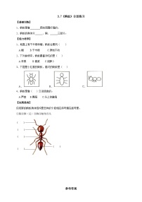 人教鄂教版 (2017)二年级下册7 蚂蚁随堂练习题