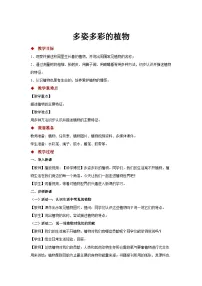 苏教版 (2017)一年级下册11.多姿多彩的植物教案