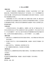 小学科学8 石头上的植物教案及反思