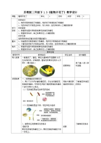 小学科学苏教版 (2017)三年级下册第一单元 植物的一生3 植物开花了教学设计