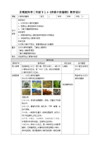 苏教版 (2017)三年级下册6 沙漠中的植物教学设计及反思