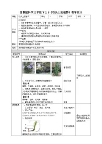 科学三年级下册第二单元 植物与环境8 石头上的植物教案设计