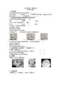 小学科学苏教版 (2017)四年级下册8 太阳钟课后作业题