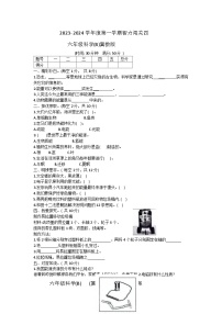 河北省邢台市威县第四小学教育集团2023-2024学年六年级上学期智力闯关（四）月考科学试题