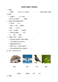 大象版 (2017)2 四季与动物课后作业题