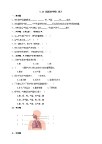 小学科学青岛版 (六三制2017)三年级下册20 我们的呼吸课时训练