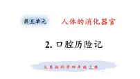 大象版 (2017)2 口腔“历险记”教学ppt课件