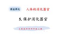 科学大象版 (2017)5 保护消化器官图片ppt课件