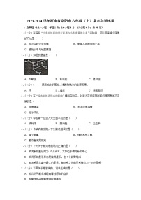 河南省洛阳市2023-2024学年六年级上学期期末科学试题