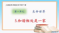 小学科学大象版 (2017)四年级下册5 和谐相处是一家教课ppt课件