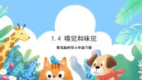 小学科学青岛版 (六三制2017)六年级下册嗅觉和味觉优秀ppt课件