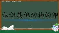 小学科学教科版 (2017)三年级下册2.认识其他动物的卵教课内容课件ppt