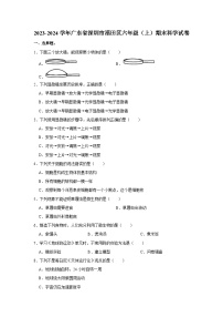 广东省深圳市福田区2023-2024学年六年级上学期1月期末科学试题