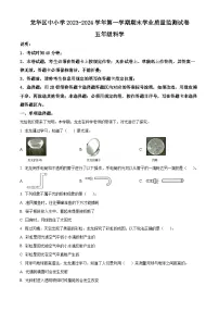 2023-2024学年广东省深圳市龙华区教科版五年级上册期末考试科学试卷（原卷版+解析版）