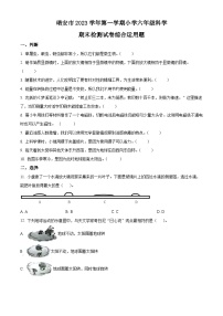 2023-2024学年浙江省温州市瑞安市教科版六年级上册期末考试科学试卷（原卷版+解析版）