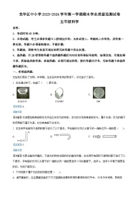 2023-2024学年广东省深圳市龙华区教科版五年级上册期末考试科学试卷