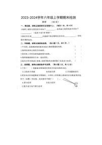 河北省邯郸市武安市2023-2024学年六年级上学期期末科学试卷