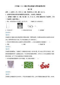 ，2023-2024学年广东省深圳市罗湖区教科版六年级上册期末考试科学试卷