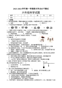 山东省菏泽市巨野县2023-2024学年六年级上学期期末考试科学试题