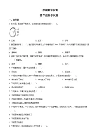 教科版科学四年级下册 期末检测卷（含答案）