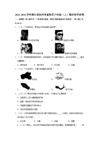 37，浙江省杭州市富阳区2023-2024学年六年级上学期期末科学试卷