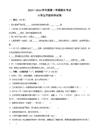 2023-2024学年辽宁省盘锦市盘山县教科版五年级上册期末考试科学试卷（原卷版+解析版）