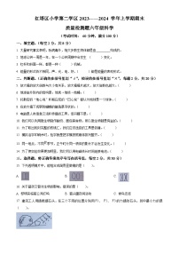 2023-2024学年云南省玉溪市红塔区小学第二学区教科版六年级上册期末考试科学试卷（原卷版+解析版）