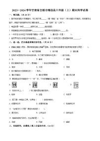 2023-2024学年甘肃省白银市靖远县教科版六年级上册期末考试科学试卷（原卷版+解析版）