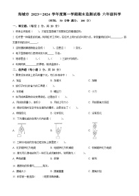 2023-2024学年辽宁省鞍山市海城市湘科版六年级上册期末考试科学试卷（原卷版+解析版）