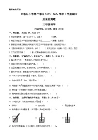 2023-2024学年云南省玉溪市红塔区二学区教科版三年级上册期末考试科学试卷（原卷版+解析版）