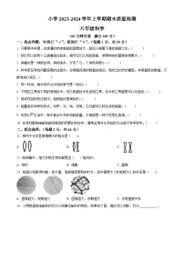 2023-2024学年云南省玉溪市红塔区三学区教科版六年级上册期末考试科学试卷（原卷版+解析版）